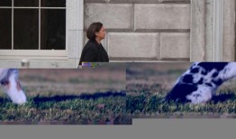 5点：周五·日报