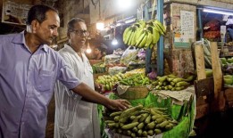 莫迪总理与奥地利总理卡尔·内哈默讨论双边关系