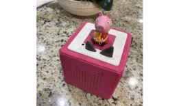 卡纳塔克邦梅尔科特，一名体育教练因性骚扰女学生而被拘留