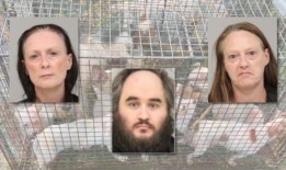 在佛罗里达州，3人被捕，每人被控100起“可悲的”虐待动物罪