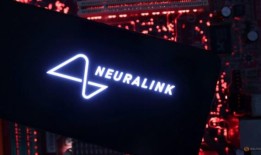 埃隆·马斯克的超人愿景很危险：研究人员