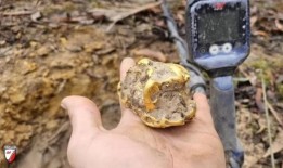 “改变生活”：澳大利亚人卢克·菲利普斯在维多利亚州巴拉瑞特发现了价值10万美元的疯狂发现