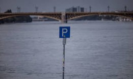 欧盟国家对海狸宣战