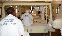 阿拉巴马州将如何资助建造拥有4000个床位的埃斯坎比亚县监狱？