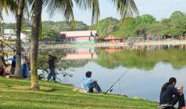 在公园和老池塘钓鱼能让人兴奋和放松