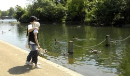 82岁的退休老人因在伦敦西南部喂鸭子而被罚款150英镑