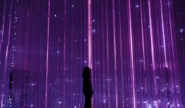 teamLab Planets的异想天开的世界：如何计划你的日本热门博物馆之旅