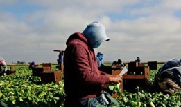 民意调查：大多数美国人希望企业因雇佣非法移民而被起诉