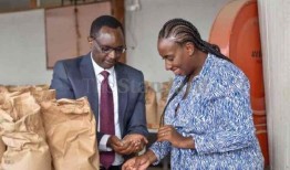 种植咖啡的农民8个月就能赚到190万先令