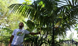 活动人士的杀戮如何损害了哥伦比亚的环境保护