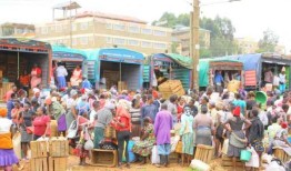 由于鲁托税收计划遭受打击，黑市繁荣