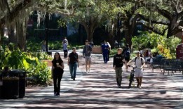 德桑蒂斯在佛罗里达州的教育政策驱逐了自由派教授