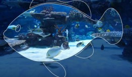 姆瓦尼鼓励公众参观哈马德港游客中心