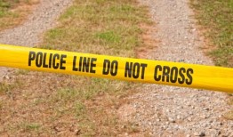 警方在调查夜间袭击事件时向Co Down清真寺投掷汽油弹