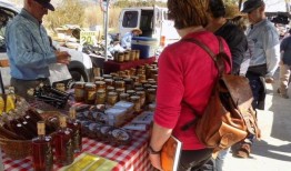 雅龙谷长途汽车之旅从贝尼多姆，阿尔比尔，阿尔特亚和卡尔佩出发