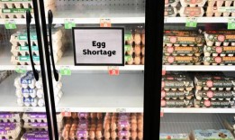 鸡蛋价格继续上涨，今年可能再涨20%