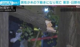 汉堡王月见月见菠萝汉堡