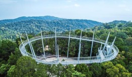 马来西亚的树顶景点