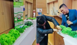 HMC的流动护理中心举办水培研讨会