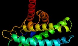 研究强调了驱动现代缓步动物生态的复杂遗传景观