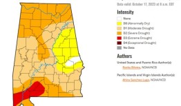 阿拉巴马州的干旱状况：你居住的地方有多干燥？
