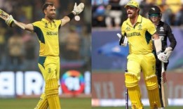 在世界杯决赛失利后，印度球迷把矛头对准了特拉维斯·海德的妻子格伦·麦克斯韦尔