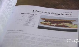 洛夫兰社区通过与国家景观合作，专注于可持续发展