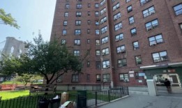 狗被扔进纽约住宅区的垃圾滑道：警察