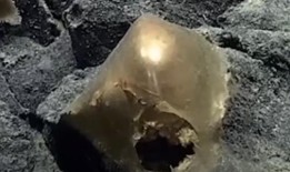 科学家们被在海底发现的金球难倒了