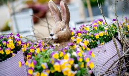 亲爱的安妮：我们家不让我儿子参加复活节庆祝活动