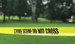 报道称，佛罗里达一男子刺死了前妻的狗，并打电话告诉她