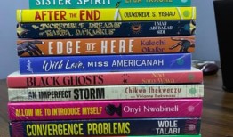 “有人告诉我这里卖不出书我知道那不是真的”：这位撼动尼日利亚出版界的英语老师