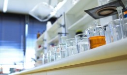 研究显示，年轻的苏铁种子有更大的毒性风险