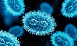 随着新型病毒的传播，世卫组织宣布非洲m痘疫情为全球卫生紧急情况