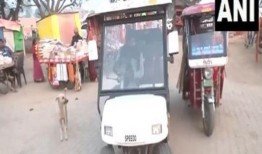 在阿约提亚举行奉献仪式之前，环保高尔夫车服务开始了