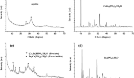 锌在骨组织健康和再生中的作用综述