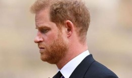 哈里王子在英国坐了21个小时的飞机，飞行了1万英里后感到“孤独”？