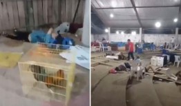 格雷罗州斗鸡场发生袭击事件，造成5人死亡，20人受伤