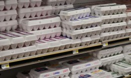 阿拉巴马州立法会议即将结束，削减食品税的法案尚未完成