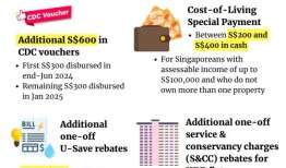 2024年预算：增加疾病预防控制中心代金券、支出和退税，以帮助降低生活成本
