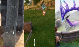 Palworld：初学者建议