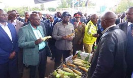 骗子们为一杯祝酒讨价还价，但却得到了不公平的待遇