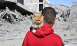 规划加沙的战后重建和恢复