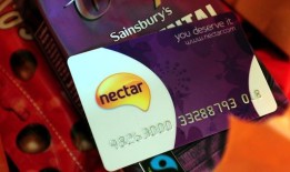 英国将在番茄附近种植园艺植物，以提高作物风味，“驱虫”