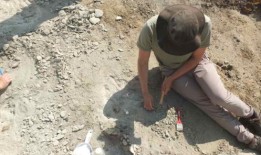 罕见的翼龙化石上有7600万年前的鳄鱼咬伤