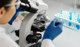 流感病毒可以通过两种方式感染细胞：研究