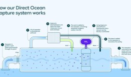 这些初创企业通过从海洋中提取二氧化碳来应对气候变化_科学_鸡鸣网