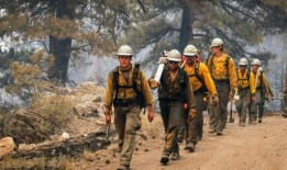 拉里默县亚历山大山火已被完全控制