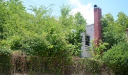 约翰逊：威利·梅斯的儿子对父亲童年时被忽视的阿拉巴马州的家有一个愿景