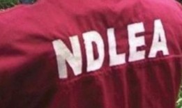 达美航空与NDLEA合作打击毒品滥用